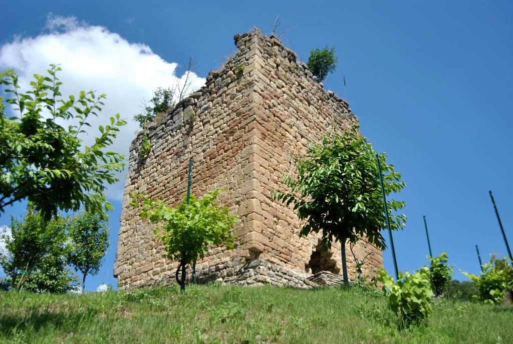 Torre di Niviano