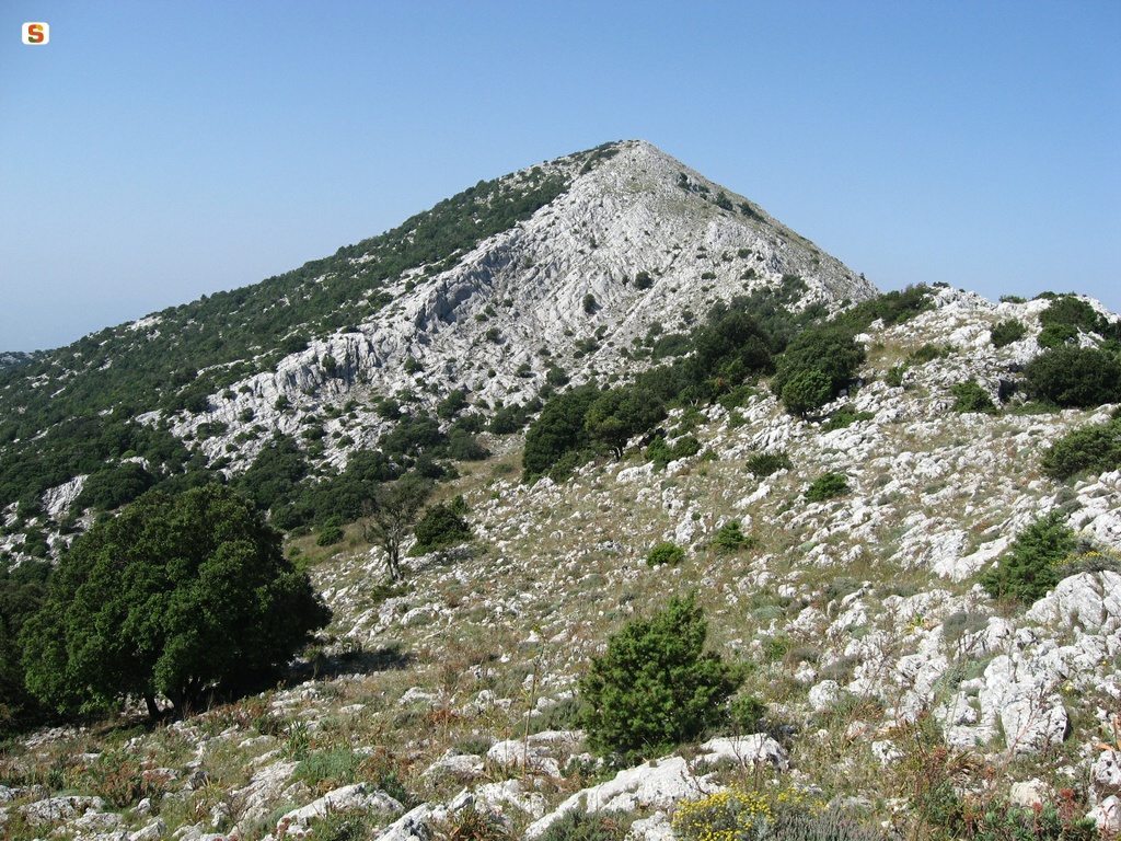 Punta Ferulargiu (1050 m.s.l.m.)
