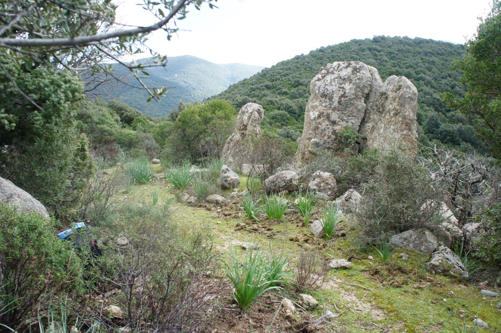 alla località panoramica di S'ega Arrimundu Spanu (479 m s.l.m.). 