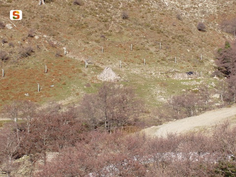 Is Meriagus old sheepfolds