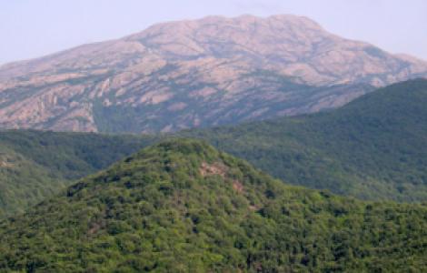 Monumento naturale Gutturu Pala