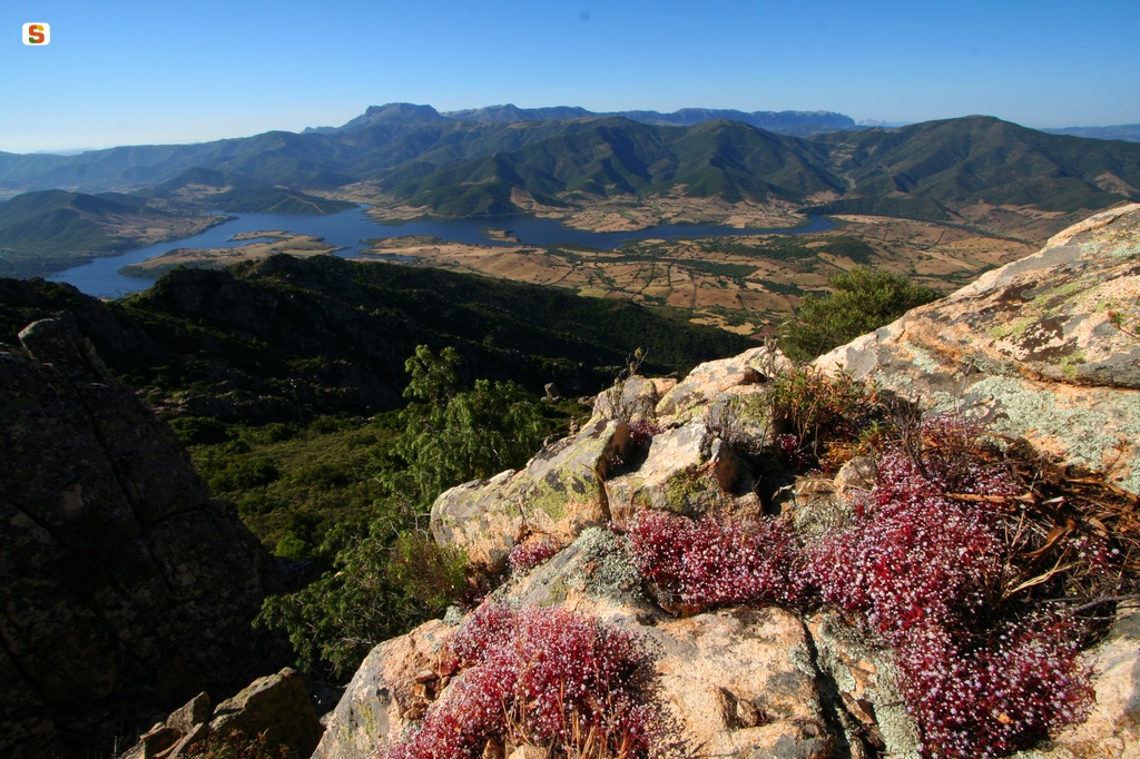 Su Monte Soricatu