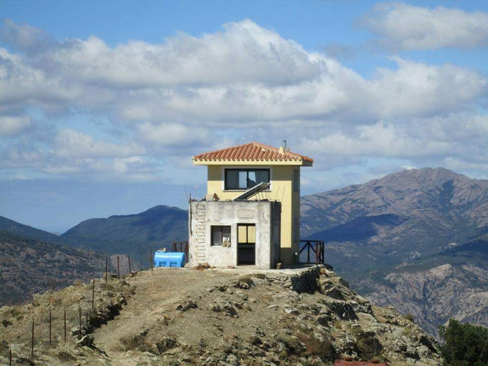 Cuccurdoni Mannu - Rifugio Muntoni (arrivo D 131)