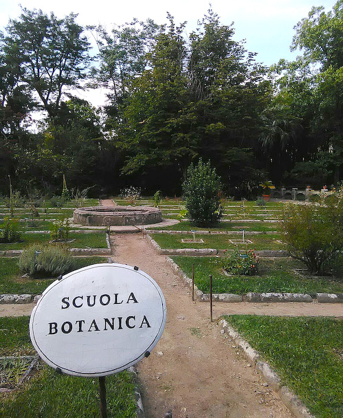 Pisa Botanical Garden