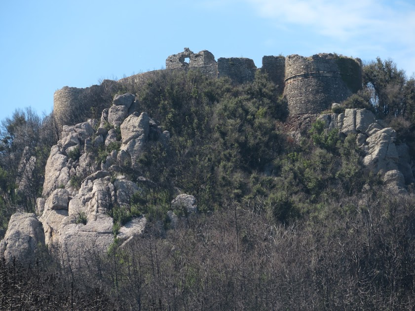 Verruca (fortezza)