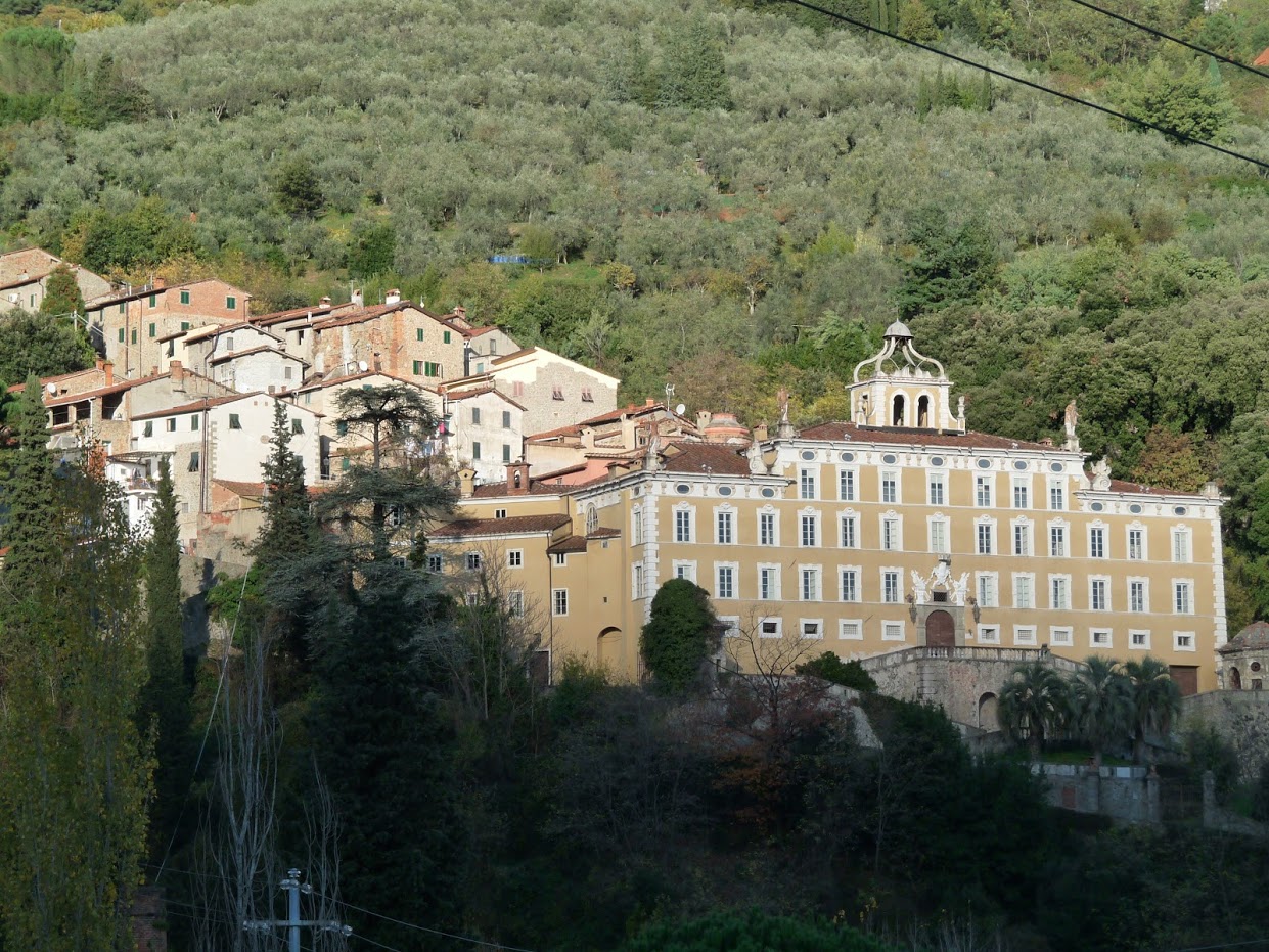Collodi