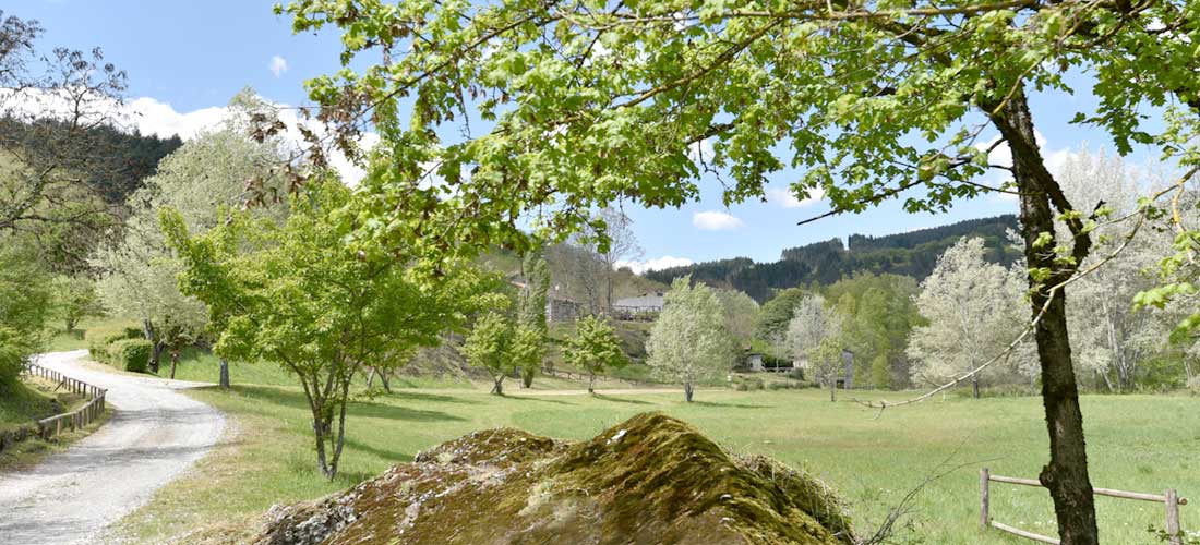Agriturismo Mulino del Rancone