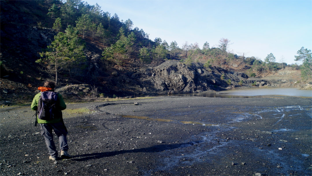 Focerella quarry