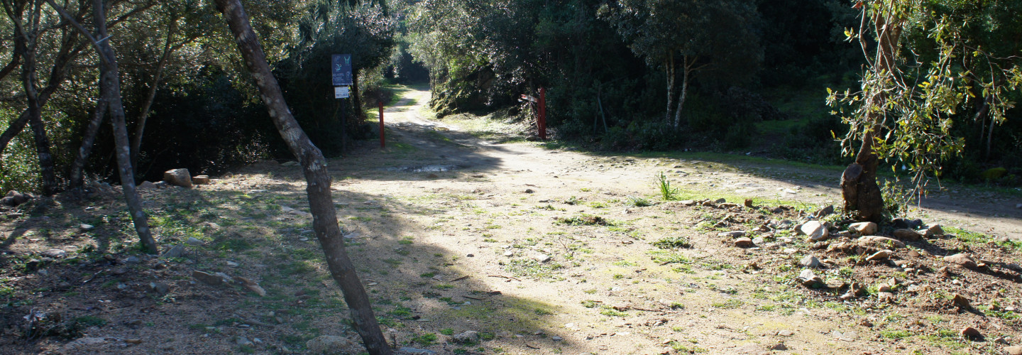 Starting point of trail 216 at the Pantaleo state forest