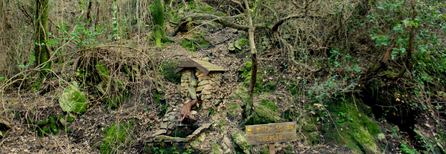 Mitza su Suergiu Spring