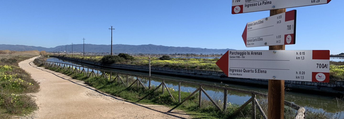 End of Trail 700-A (junction with Trail D 700)