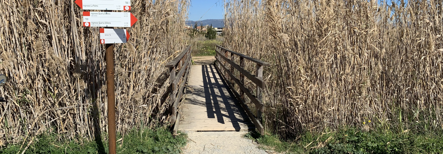 Exit towards Trail 704
