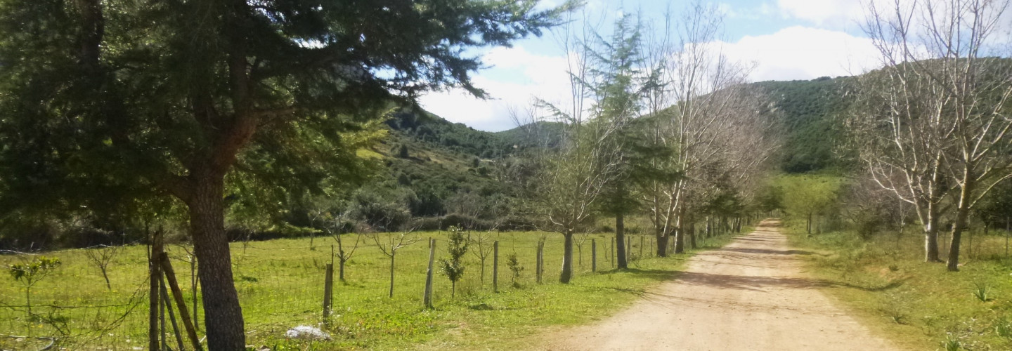 Piscina 'e Cerbus (Casermetta-vivaio forestale)