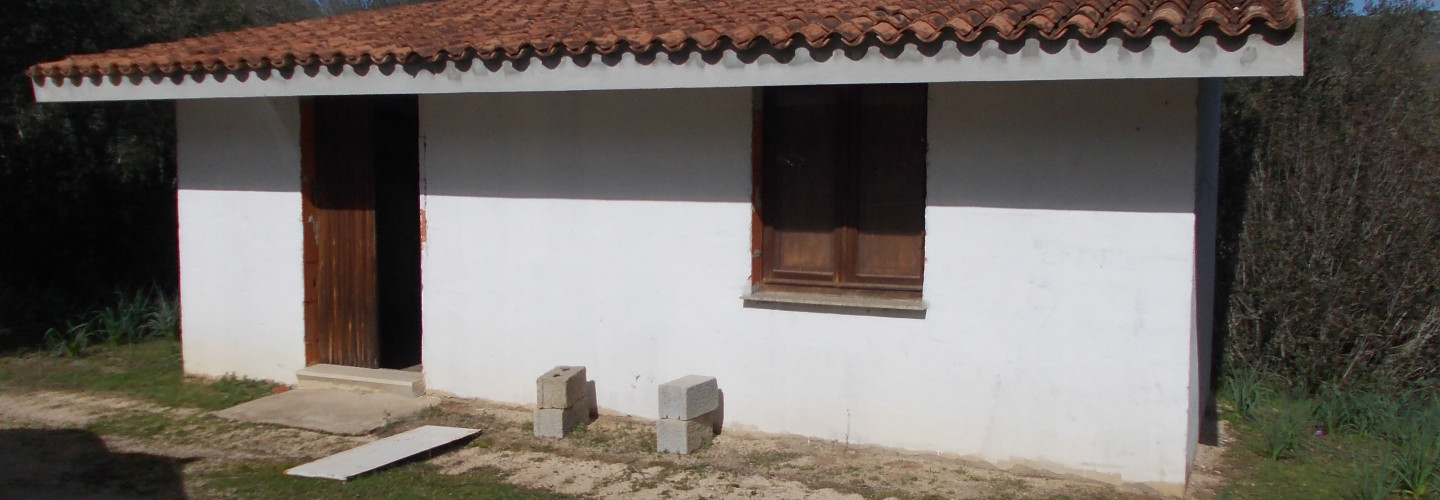 Piras Shed
