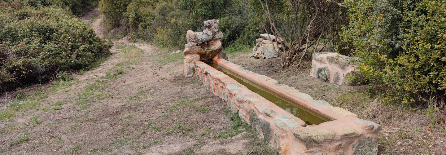 Spring and watering trough on G 220.