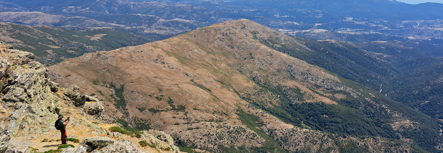 Perda crapias, Punta Lamarmora