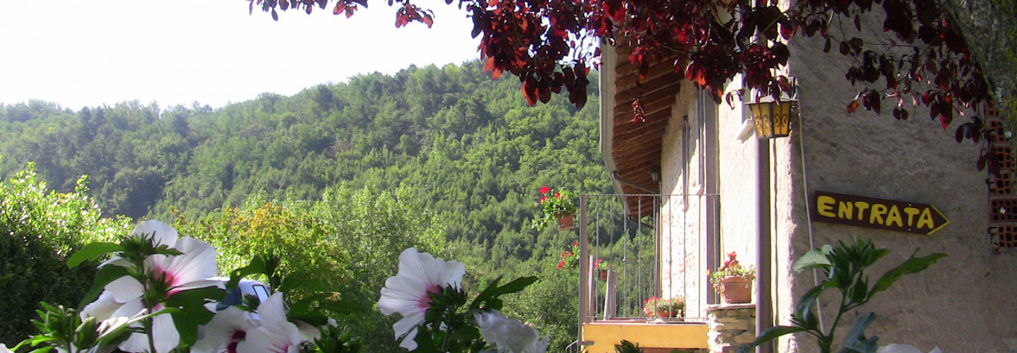 Agriturismo Il Picchio Verde