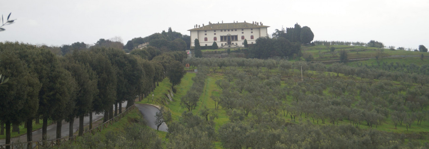 Artimino