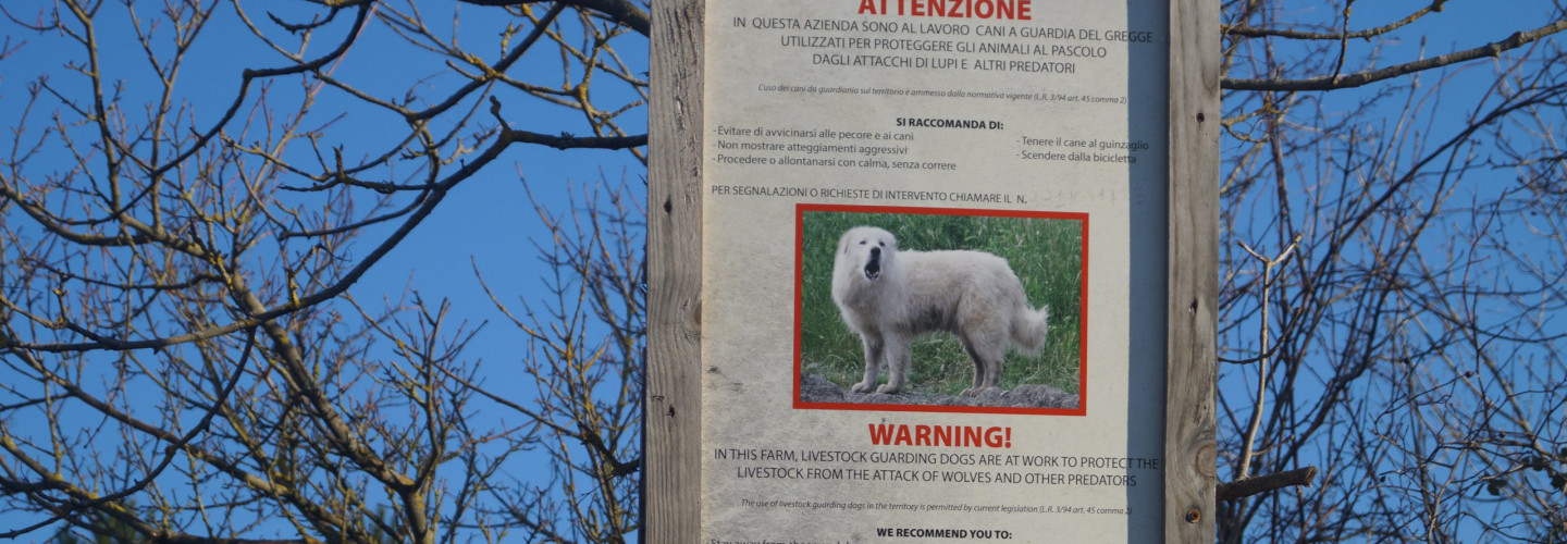 Beware: Guard dogs