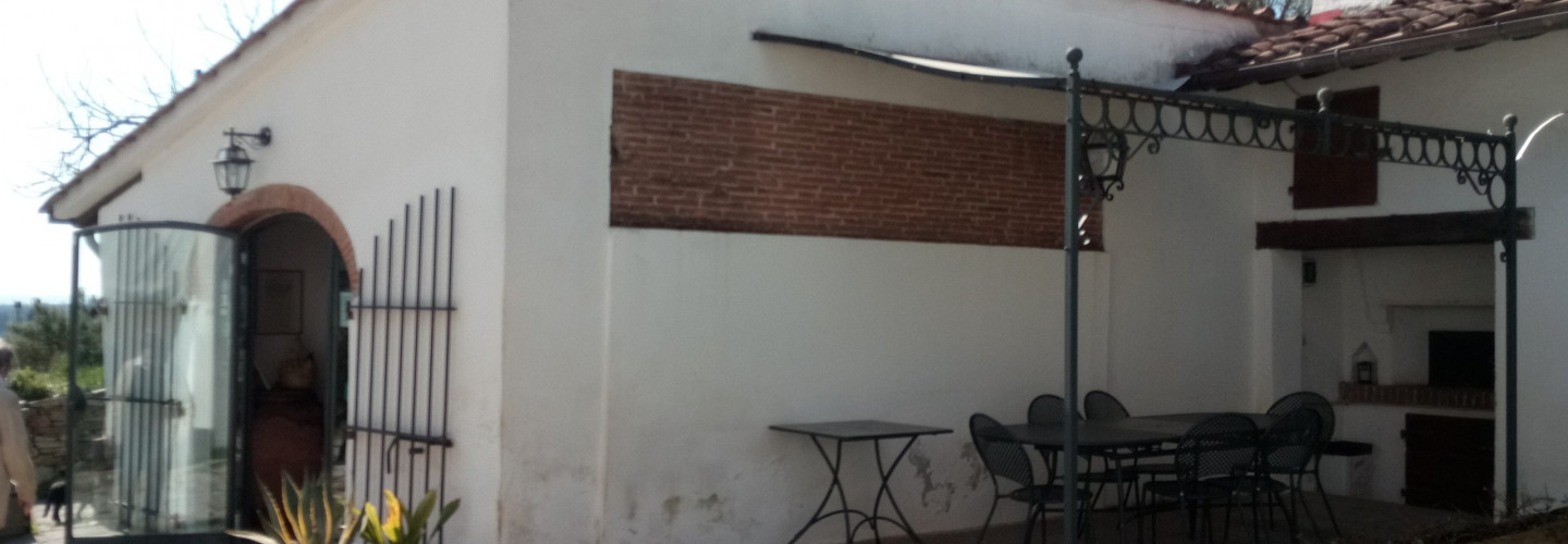 Frantoio Sociale Vicopisano