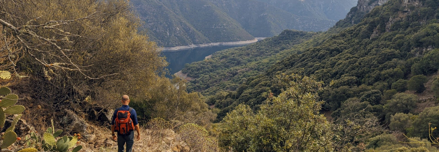 Procus River (Trail C 611 stage)
