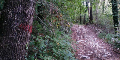 <p>La strada agro-pastorale che porta a Bocca di Trat © CAI Salò – Foto di Corrado Corradini.</p>

