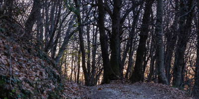 <p>Imbocco del sentiero 287 ex 27 Cresta sud-est. </p>
