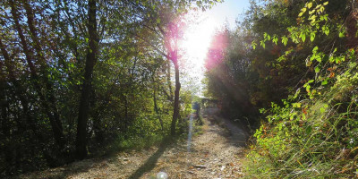 <p>Strada del Passo di Guine. © CAI Salò – Foto di Cristina Donini.</p>
