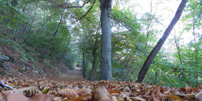 <p>La strada che da Bagnolo porta a Trat – © CAI Salò – Foto di Cristina Donini</p>
