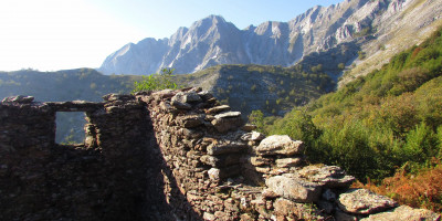 <p>Apuane da Vergheto 2</p>
