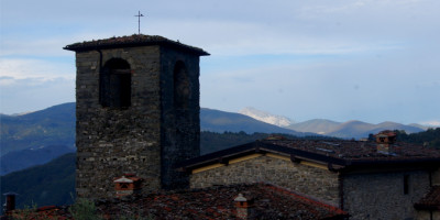 <p>SONY DSC</p>
