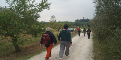 <p>camminanti2018_medio</p>
