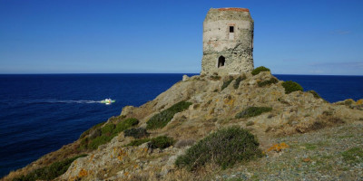 <p>Isola di Capraia</p>
