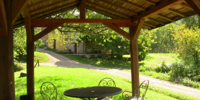 <p>PicchioVerde3</p>
