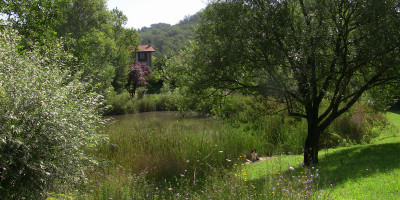 <p>Picchioverde2</p>

