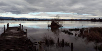 Lago della Gherardesca inverno