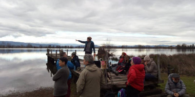 Lago della Gherardesca visite