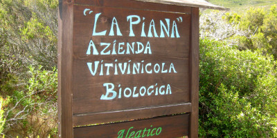 <p>Azienda Agricola La Piana – insegna</p>
