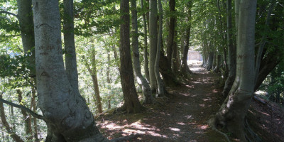 <p>Col di Favilla 1</p>

