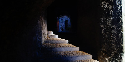 <p>Taponecco1</p>
