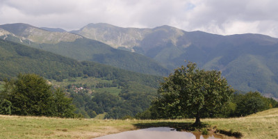 La Bandita Vista su Campaiana