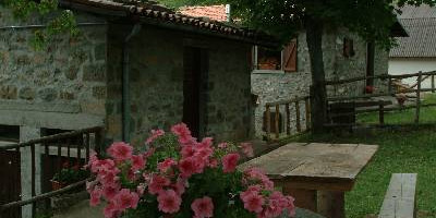 <p>Ristorante Il Fungo Campaiana 2</p>
