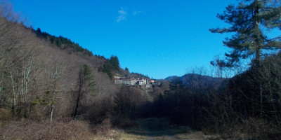 <p>Orsigna2</p>
