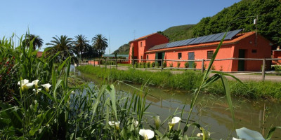 azienda-agrituristica-bonifica-della-casa-rossa_8_esterno_2