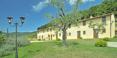 <p>cima alla serra</p>
