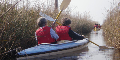 <p>Massaciuccoli Canoa</p>
