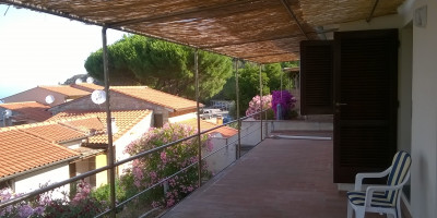 <p>Colombi 3</p>
