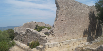 <p>Cosa</p>

