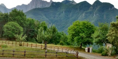 <p>agriturismo-al-vecchiotino</p>

