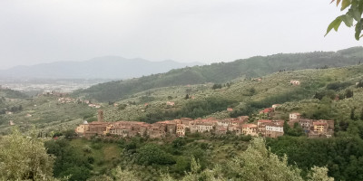 <p> Massa Colle Buggiano Croci MTB</p>
